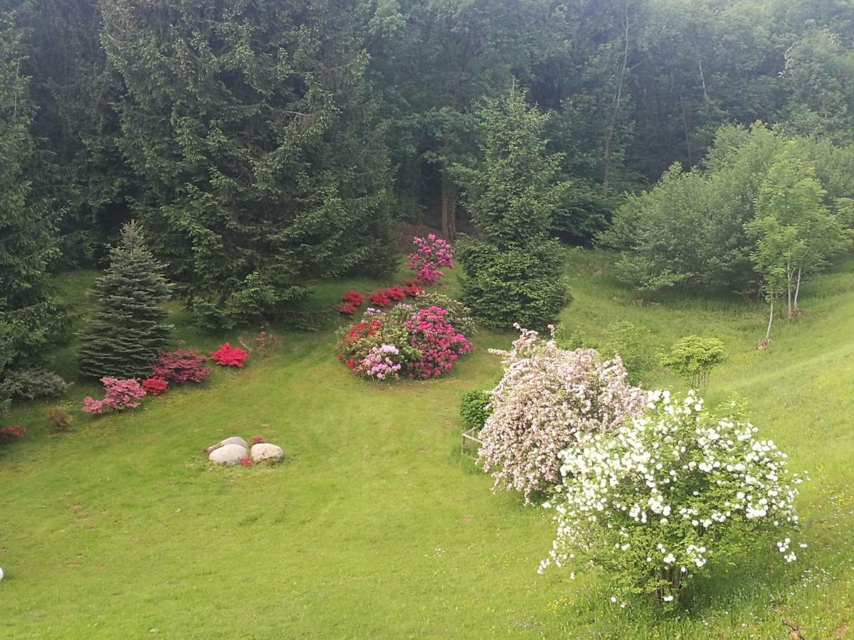 Antica Cascina Del Medico Hotel Muzzano Buitenkant foto